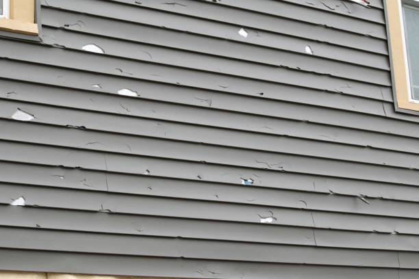 Same-Day Junk Removal Services in Mooresville, IN